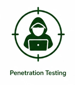 penetration testing